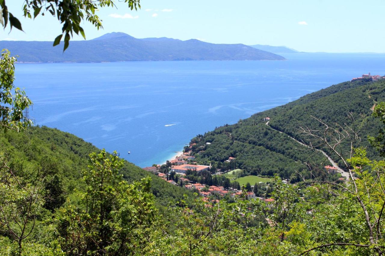 Rooms By The Sea Moscenicka Draga, Opatija - 18473 エクステリア 写真